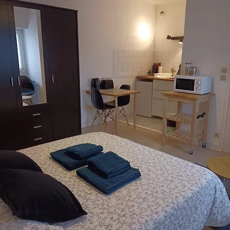 214 Au Coeur Du Campus De Belle Beille אנז'ה