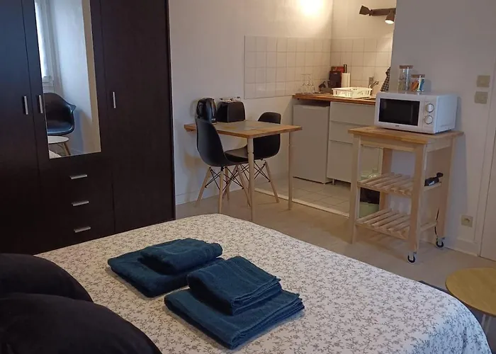 214 Au Coeur Du Campus De Belle Beille אנז'ה